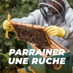 Parrainage d'une ruche