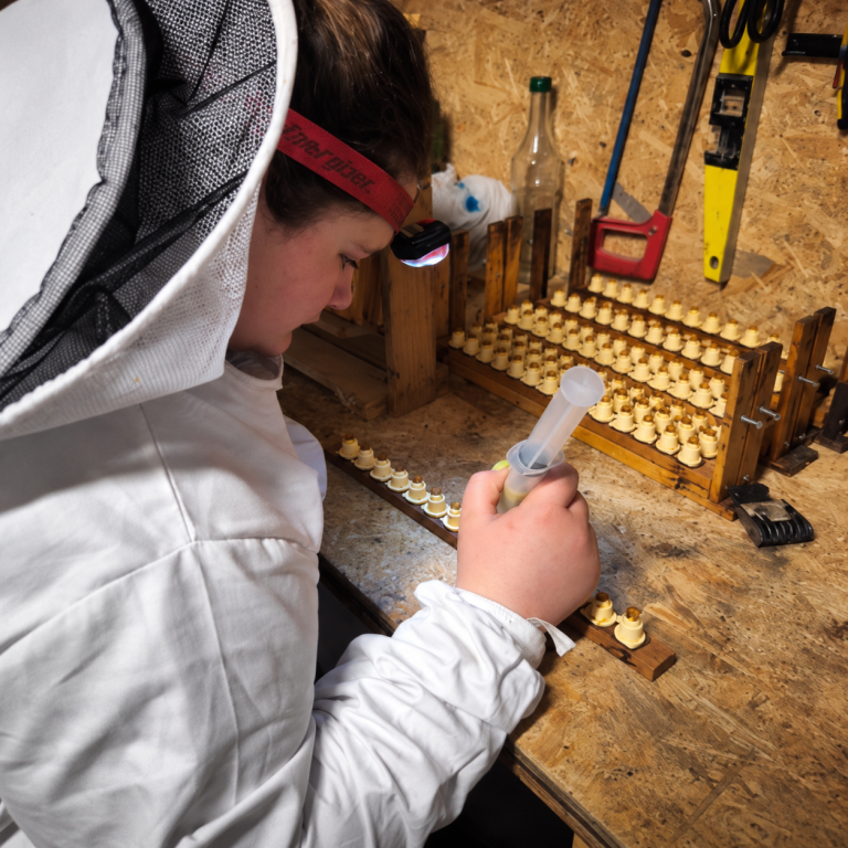 Marine travaillant sur les cellules royales à l’atelier de La Papillonne en Dordogne.