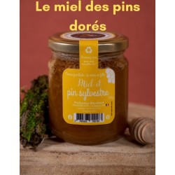 Miel et pin sylvestre