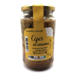 Cèpes du Périgord