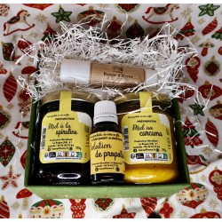Coffret Bienfaits de la Ruche